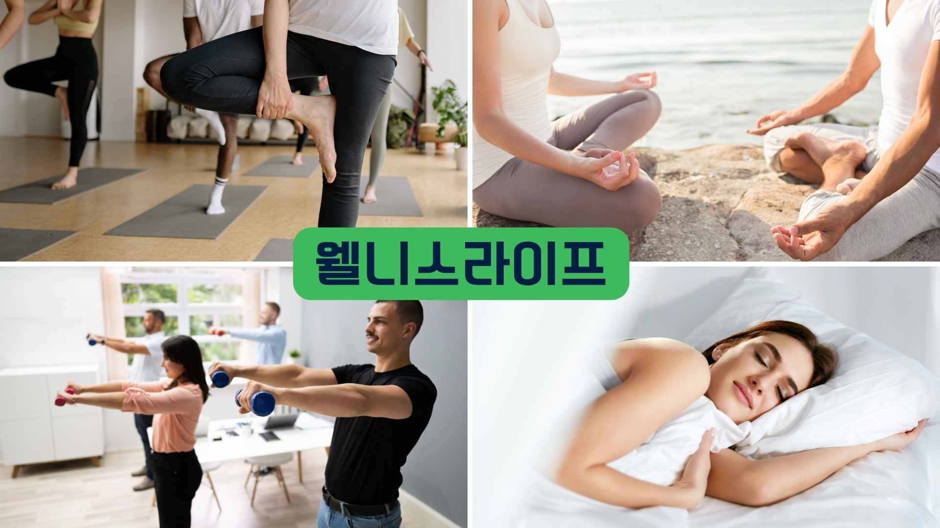 웰니스라이프 코칭전문가과정